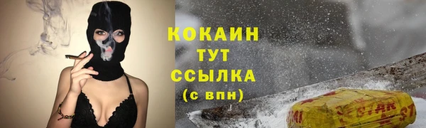 дмт Дмитров