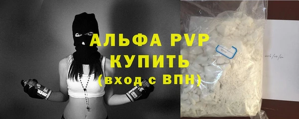 дмт Дмитров