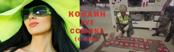 тгк Гусь-Хрустальный