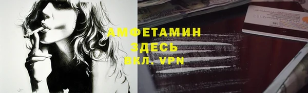 дмт Дмитров