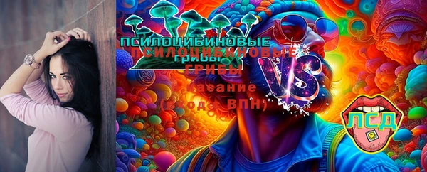 эйфоретик Дмитровск
