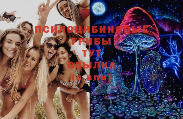 бутират Горняк