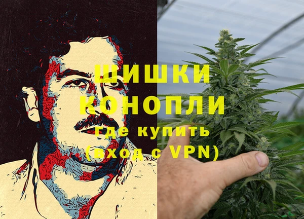 дмт Дмитров