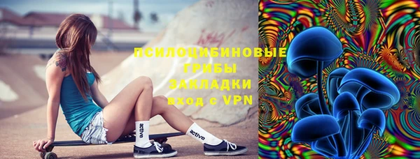 дмт Дмитров