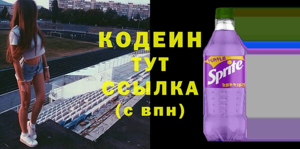 дмт Дмитров