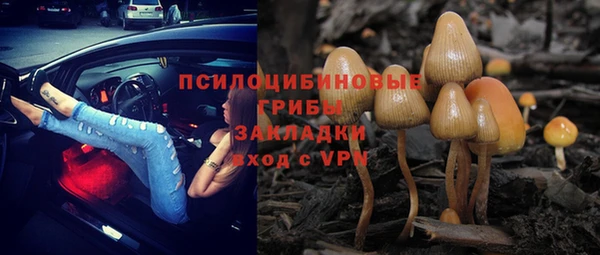 эйфоретик Дмитровск