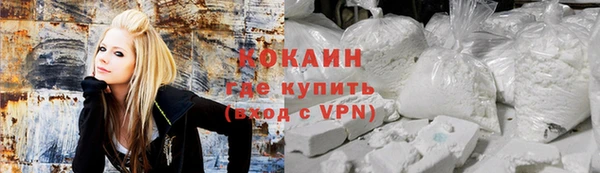 дмт Дмитров