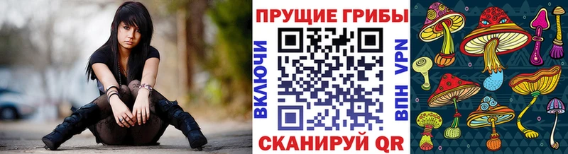 Купить закладки  Новокубанск  Псилоцибиновые грибы Psilocybine cubensis 