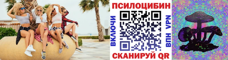 Псилоцибиновые грибы Psilocybine cubensis Новокубанск